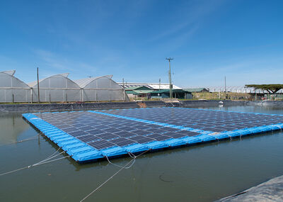 Kenya's 1st ever floating PV system with 216 ECO-Line Half-Cell M120 320 WP solar modules ...